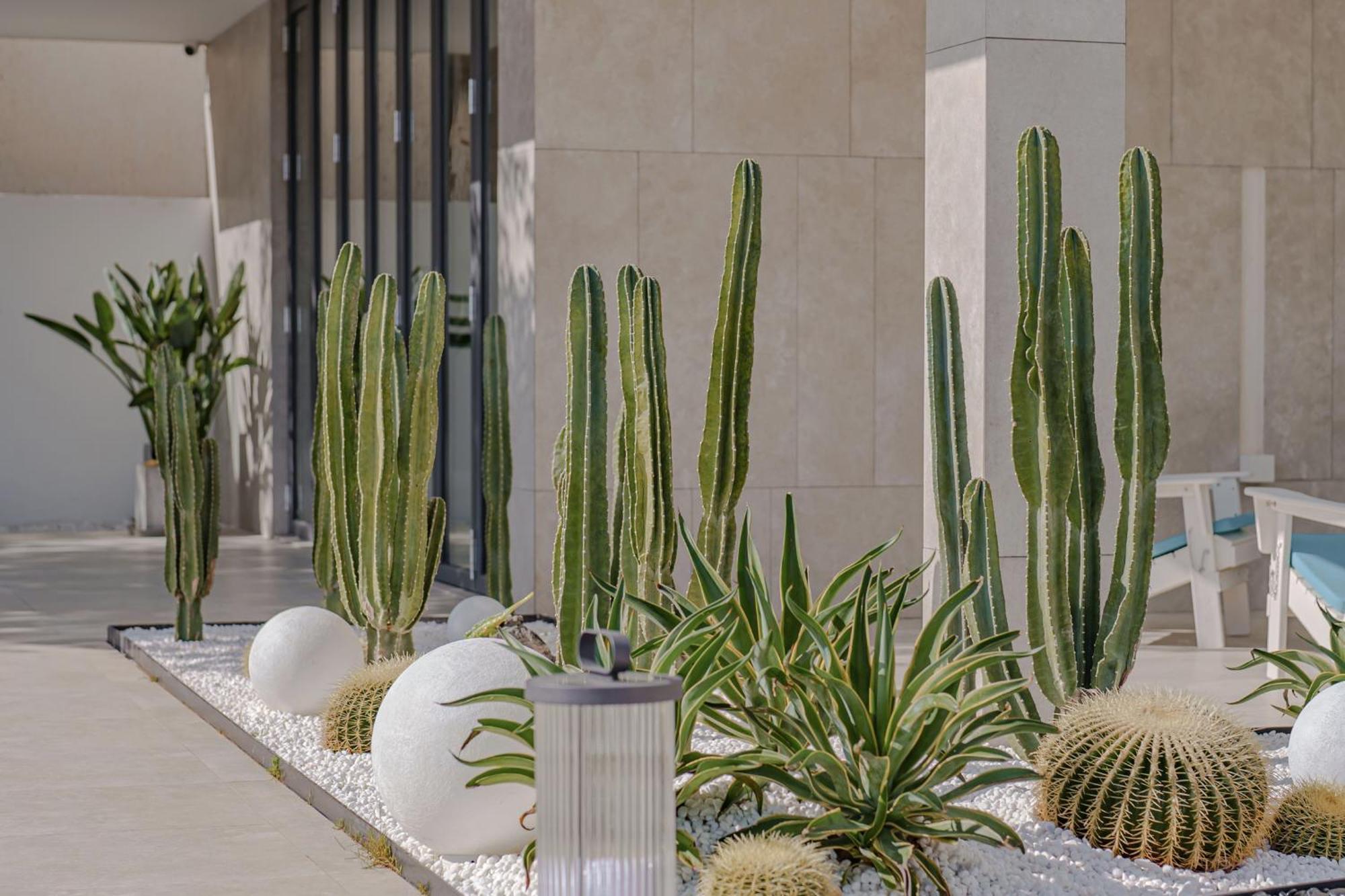 Dali Oriental Seaview Hotel -Dali Erhai Экстерьер фото